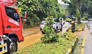Longsor Jalur Abepura-Sentani, Babinsa Sigap Atur Lalu Lintas Minimalisir Kecelakaan