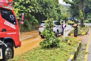 657334932 1789053048725421 6597321645796611669 n