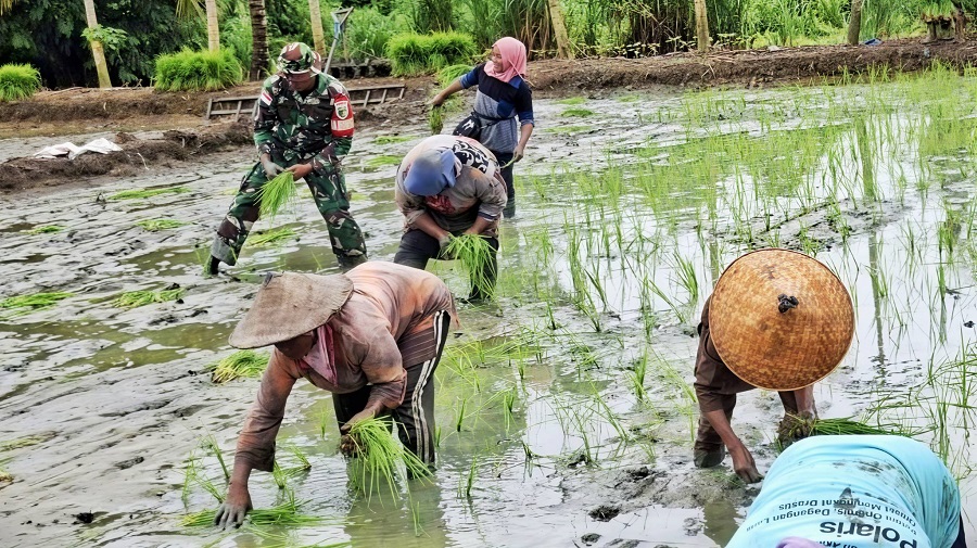 662639885 1794544981509561 2105817837957917723 n