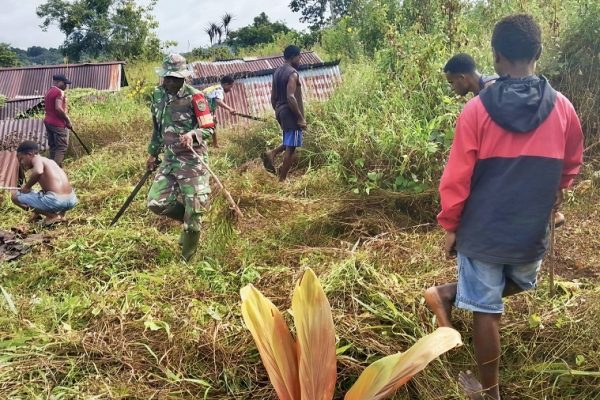 663177395 1794428378187888 6176200118848996879 n