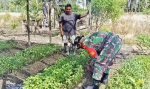 Serda Kapisa Diskusi dengan Petani Bahas Pestisida hingga Strategi Panen Cabai Rawit