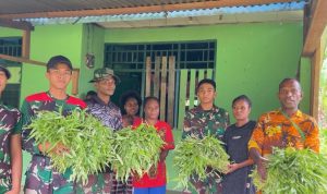 Wujudkan Ketahanan Pangan, Prajurit Yonif TP 809/NTM Bagikan Hasil Panen Kangkung Secara Gratis Kepada Warga
