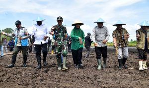 Tanam Padi Serentak di Waninggap Kai, Memacu Percepatan Swasembada Pangan di Merauke