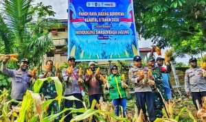 Kolaborasi Fondasi Ketahanan Pangan Daerah melalui Panen Jagung Serentak di Kemtuk Gresi