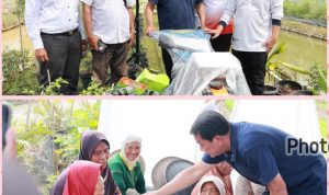 Bupati Tangerang: Komitmen Pemkab Majukan Pertanian Untuk Pengembangan Ketahanan Pangan