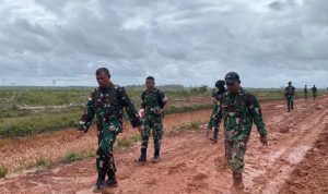 Pangdam XXIV/MT Tinjau Food Estate Wanam, Perkuat Komitmen Ketahanan Pangan Nasional