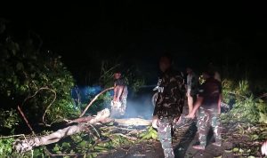 Prajurit Yonif TP 860/NSK Sigap Bersihkan Pohon Tumbang, Akses Jalan Trans Botawa Kembali Normal