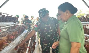 “Batalyon Teritorial Harus Jadi Motor Ketahanan Pangan,” Pangdam XXIV/MT Tinjau Pengembangan Peternakan Yonif TP 818/Yuboi