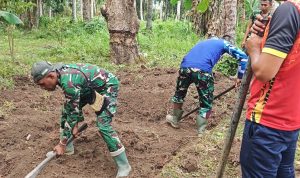 Tak Kenal Lelah, Satgas TMMD ke-129 Kodim 1707/Merauke Percepat Pembangunan MCK dan Sumur