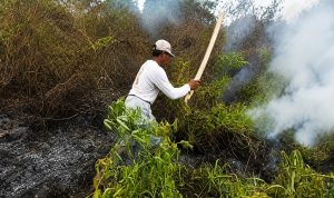 Babinsa dan Warga Bergerak Cepat Padamkan Kebakaran Lahan di Marga Mulya