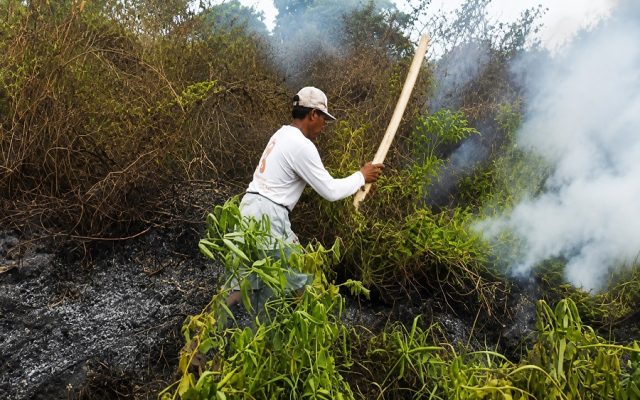 Babinsa dan Warga Bergerak Cepat Padamkan Kebakaran Lahan di Marga Mulya