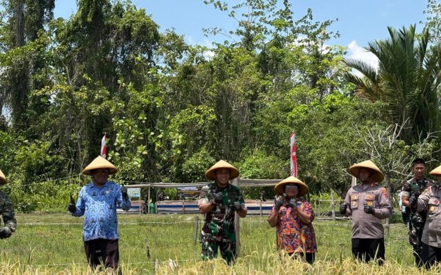 Panen Raya Padi dan Ikan Lele Yonif TP 860/NSK, Wujud Nyata Dukung Ketahanan Pangan di Waropen