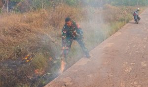Peran Babinsa Merauke dan Masyarakat, Sigap Padamkan Api Cegah Kebakaran Lahan Meluas