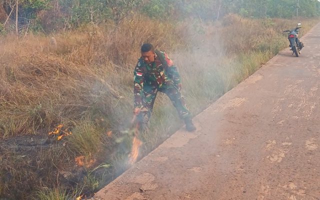 Peran Babinsa Merauke dan Masyarakat, Sigap Padamkan Api Cegah Kebakaran Lahan Meluas