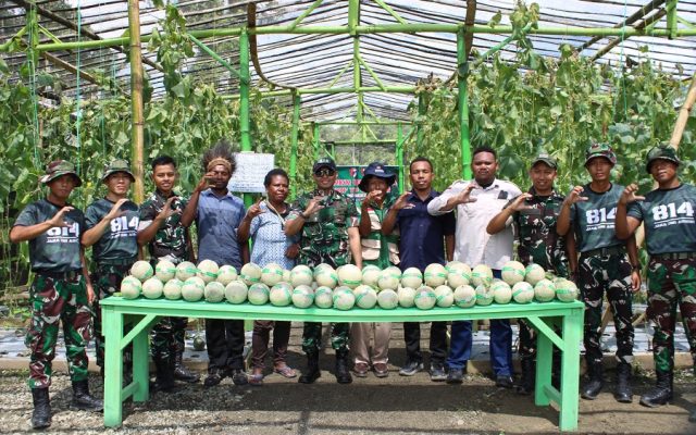 Perdana Panen Melon di Distrik Yapsi
