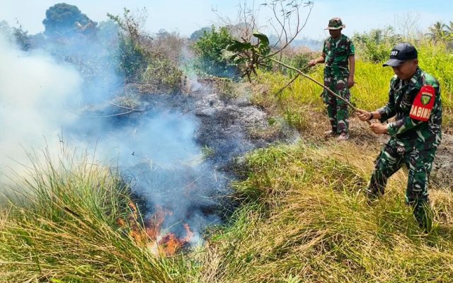 Babinsa Wanam Sigap Padamkan Kebakaran Lahan, Selamatkan Lingkungan Dari Ancaman Api