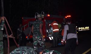 Personel Kodim dan Polres, Bahu Membahu Padamkan Kebakaran Hutan di Yanggandur Merauke