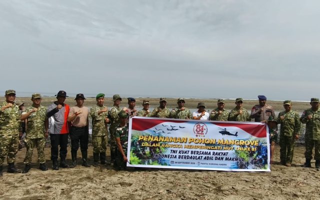Danyonif TP 804 bersama Prajuritnya Mengikuti kegiatan Penanaman Mangrove Dipantai Korowa Nabire dalam rangka HUT ke-81 TNI
