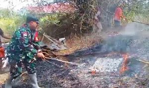 Sinergi TNI, BPBD dan Masyarakat Padamkan Kebakaran Lahan di Blorep Merauke