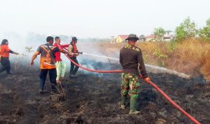 Kompak Padamkan Kebakaran, Babinsa Harapan Makmur, BPBD dan Warga Selamatkan Lingkungan Dari Amukan Api