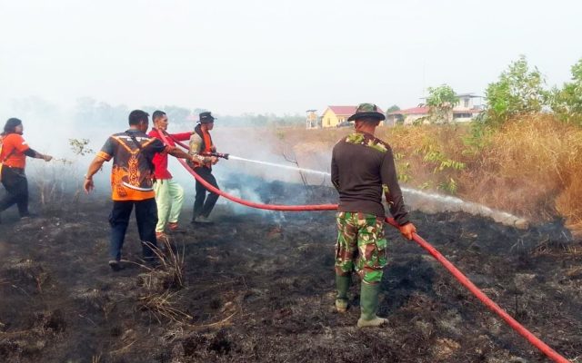 Kompak Padamkan Kebakaran, Babinsa Harapan Makmur, BPBD dan Warga Selamatkan Lingkungan Dari Amukan Api