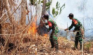Babinsa Kimaam Respon Cepat, Padamkan Kebakaran Lahan Sebelum Meluas ke Permukiman Warga Kampung Kiworo