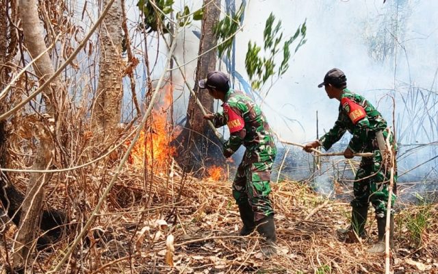 Babinsa Kimaam Respon Cepat, Padamkan Kebakaran Lahan Sebelum Meluas ke Permukiman Warga Kampung Kiworo