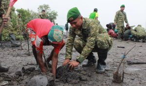 Semangat Gotong Royong, Yonif TP 820/DAAI dan Masyarakat Tanam Mangrove