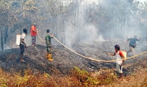 Sinergi Babinsa, Bhabinkamtibmas dan Masyarakat Padamkan Kebakaran Lahan di Kampung Metaat Makmur Elikobel