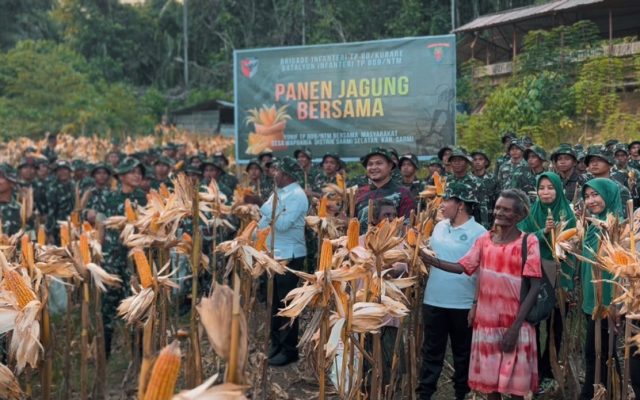 Yonif TP 809/NTM dan Bupati Sarmi Gelar Panen Raya Jagung Bersama Masyarakat