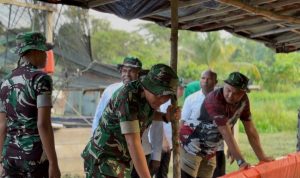 Yonif TP 809/NTM Bersama Bupati dan DPRK Sarmi Panen Lele, Bagikan Hasilnya kepada Masyarakat