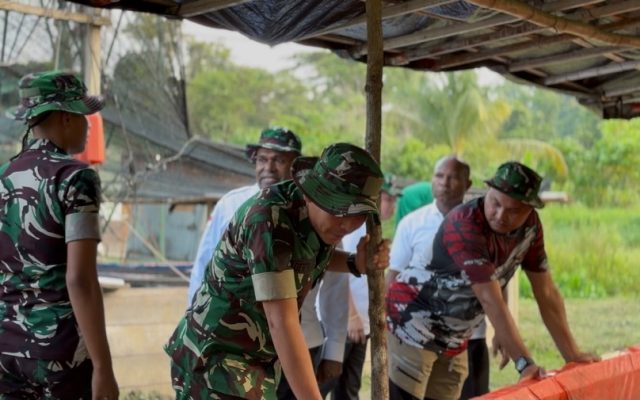 Yonif TP 809/NTM Bersama Bupati dan DPRK Sarmi Panen Lele, Bagikan Hasilnya kepada Masyarakat