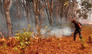 Babinsa Bergerak Cepat, Padamkan Kebakaran Lahan Karet di Muting Merauke