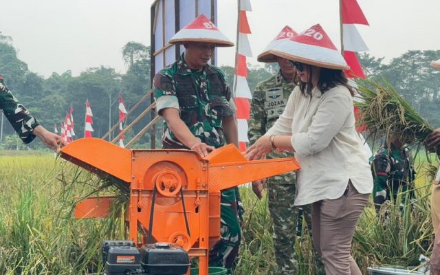 Panen Raya Padi Bukti Komitmen Yonif TP 820/DAAI Dukung Ketahanan Pangan