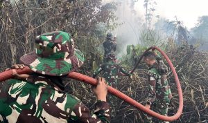 Sigap Tangani Karhutla, Damkar Yonif TP 804/DBAY Berhasil Kendalikan Kebakaran Hutan dan Lahan di Nabire