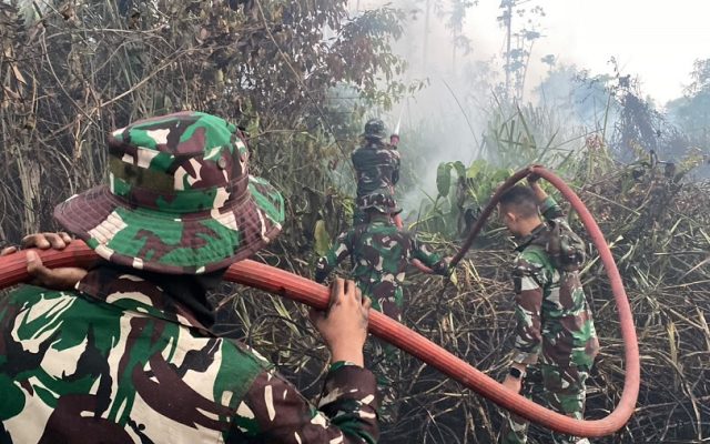 Sigap Tangani Karhutla, Damkar Yonif TP 804/DBAY Berhasil Kendalikan Kebakaran Hutan dan Lahan di Nabire