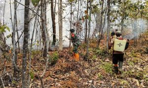 Babinsa Bersama Masyarakat, Bergerak Cepat Padamkan Karhutla di Bupul Indah