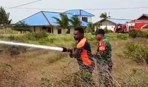 Sinergi TNI dan BPBD Merauke, Bersama-Sama Padamkan Kebakaran Lahan di Kelurahan Samkai